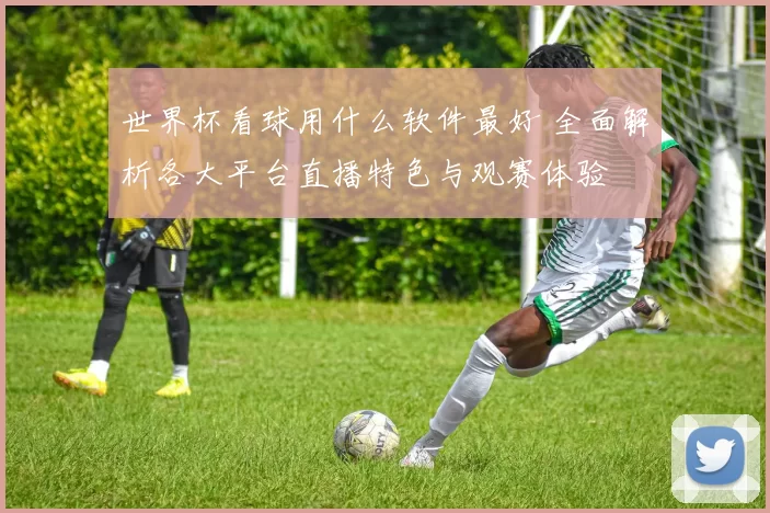 世界杯看球用什么软件最好 全面解析各大平台直播特色与观赛体验