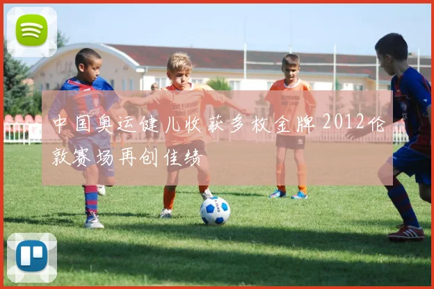 中国奥运健儿收获多枚金牌 2012伦敦赛场再创佳绩
